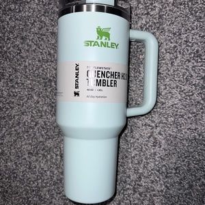 Limited Edition Divi Green 💚 40 oz Stanley Green Divine